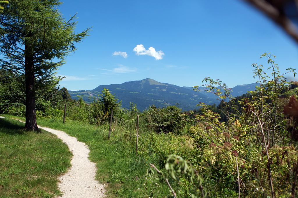 Kurhotel St. Josef Durrnberg Екстер'єр фото